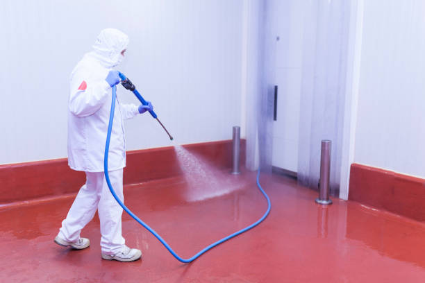 Best Sidewalk and Walkway Cleaning  in Blackville, SC
